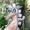 mikshaw's profile image