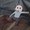 Bluemilk4me's profile image